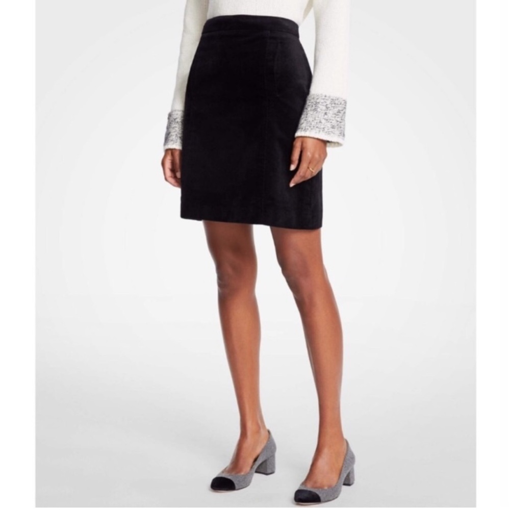 Ann Taylor Velvet Skirt (8p)